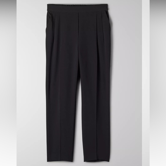 Aritzia Babaton Cohen Pant pleated with pockets and elastic back. Black size 8 - Picture 14 of 16